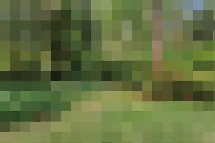 Wolfhezerweg 120 76 Wolfheze thumbnail 52