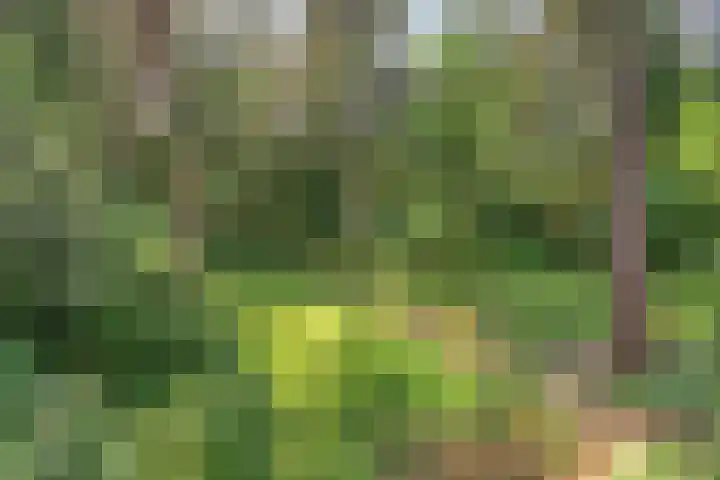 Wolfhezerweg 120 76 Wolfheze thumbnail 53