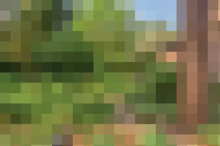 Wolfhezerweg 120 76 Wolfheze thumbnail 55