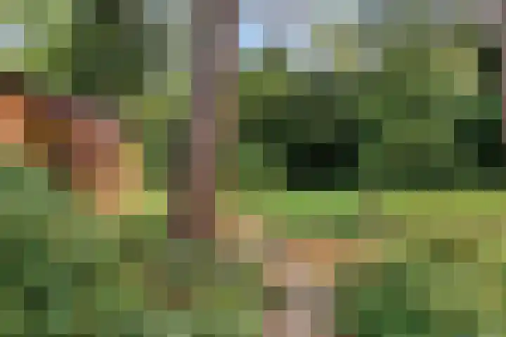 Wolfhezerweg 120 76 Wolfheze thumbnail 56