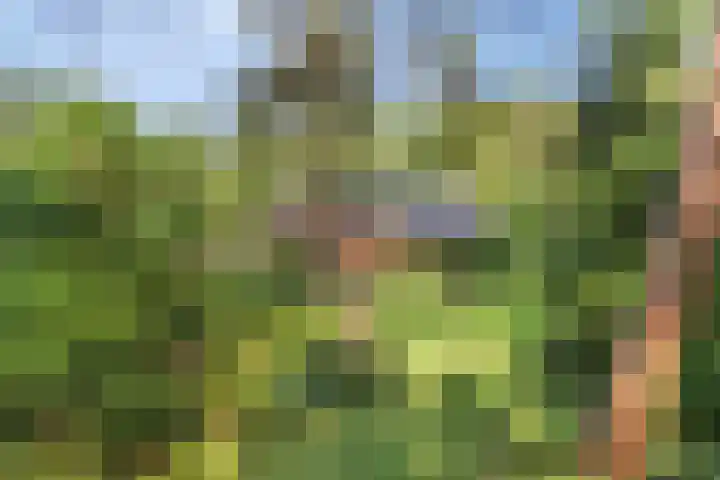 Wolfhezerweg 120 76 Wolfheze thumbnail 57