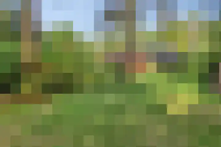 Wolfhezerweg 120 76 Wolfheze thumbnail 58