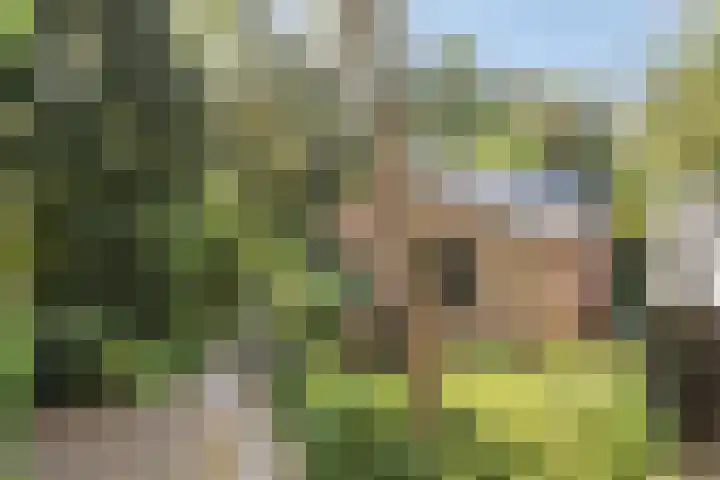 Wolfhezerweg 120 76 Wolfheze thumbnail 59