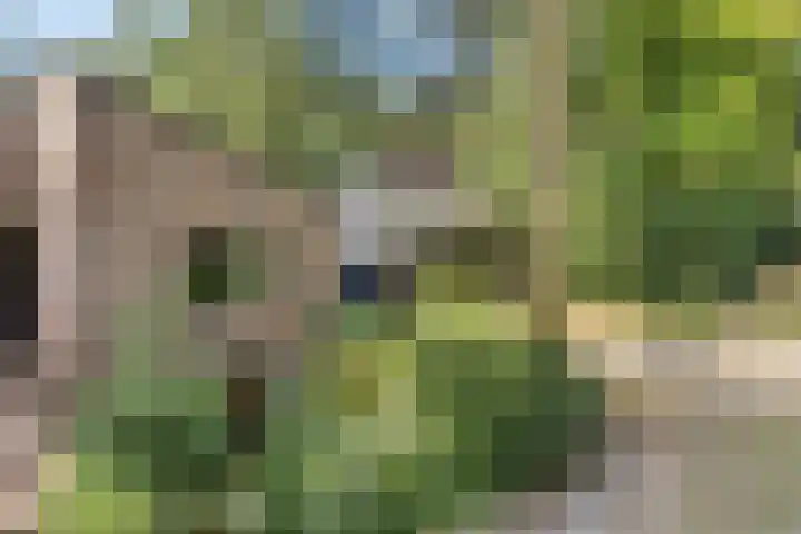 Wolfhezerweg 120 76 Wolfheze thumbnail 60