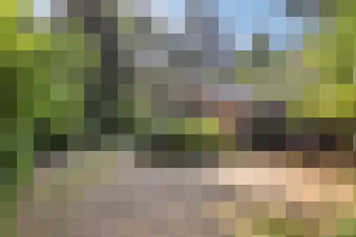 Wolfhezerweg 120 76 Wolfheze thumbnail 61