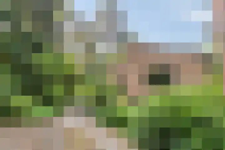 Wolfhezerweg 120 76 Wolfheze thumbnail 62