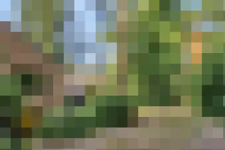 Wolfhezerweg 120 76 Wolfheze thumbnail 63