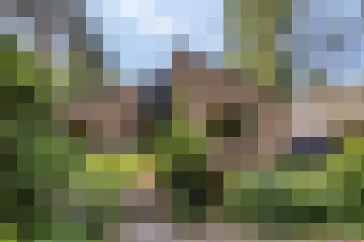 Wolfhezerweg 120 76 Wolfheze thumbnail 64
