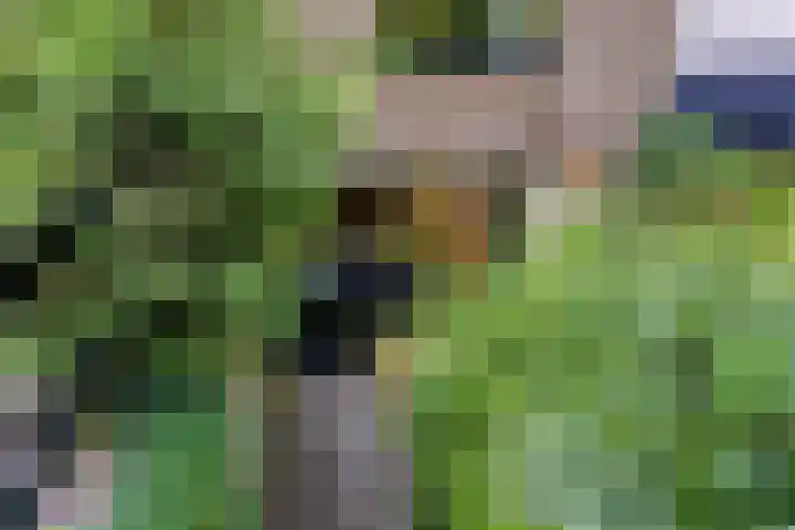 Wolfhezerweg 120 76 Wolfheze thumbnail 65