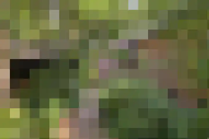 Wolfhezerweg 120 76 Wolfheze thumbnail 68