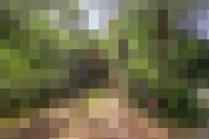 Wolfhezerweg 120 76 Wolfheze thumbnail 71