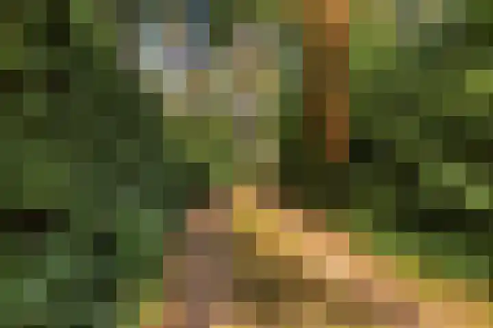 Wolfhezerweg 120 76 Wolfheze thumbnail 72