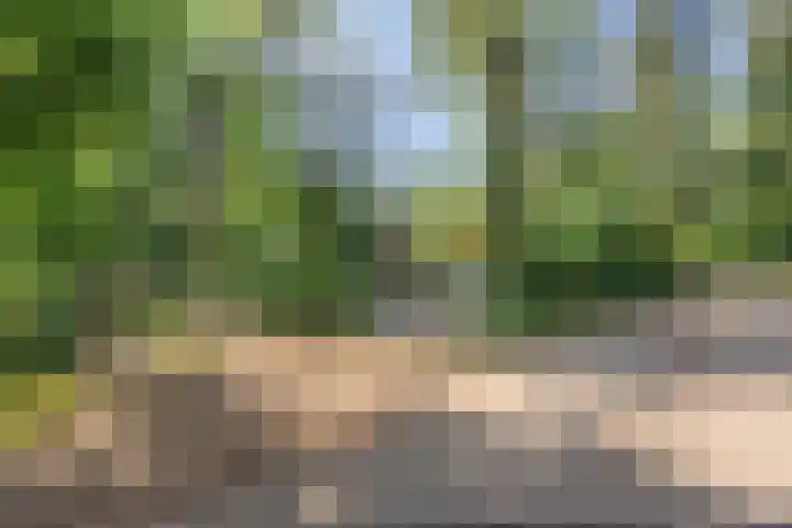 Wolfhezerweg 120 76 Wolfheze thumbnail 74