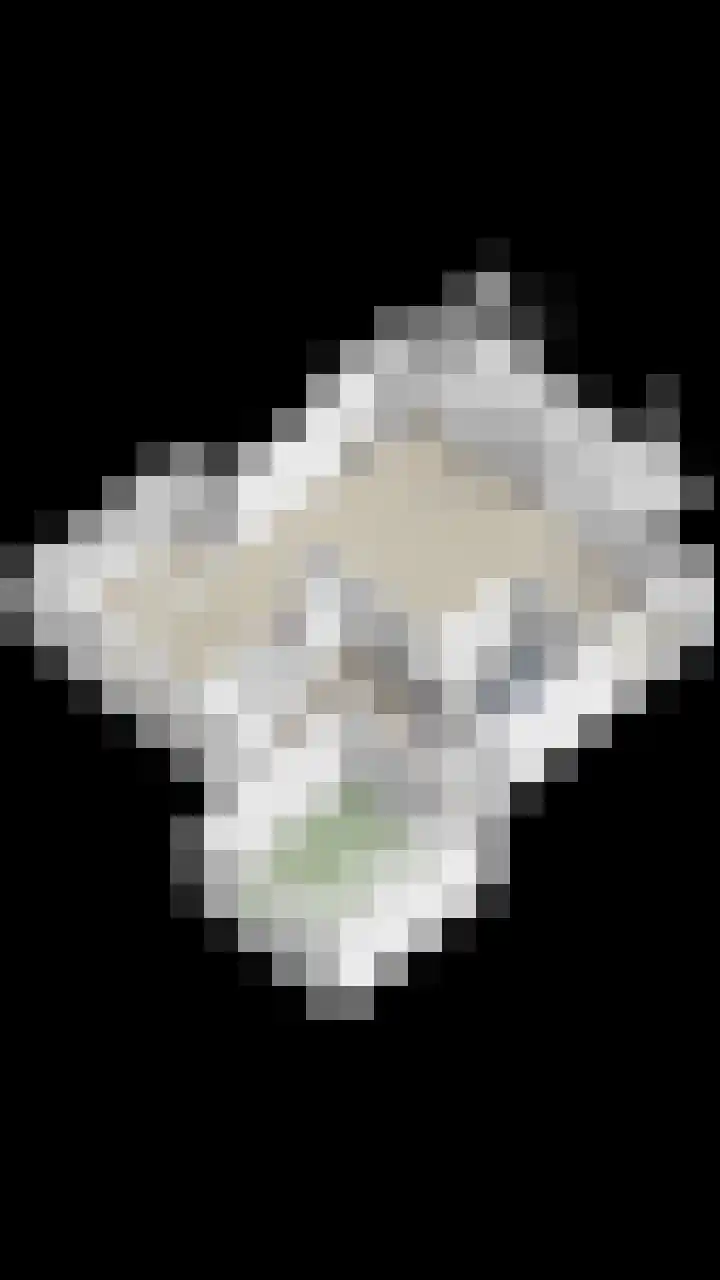 Wolfhezerweg 120 76 Wolfheze thumbnail 79