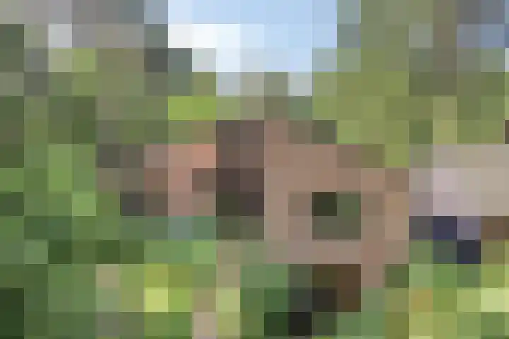 Wolfhezerweg 120 76 Wolfheze thumbnail 82