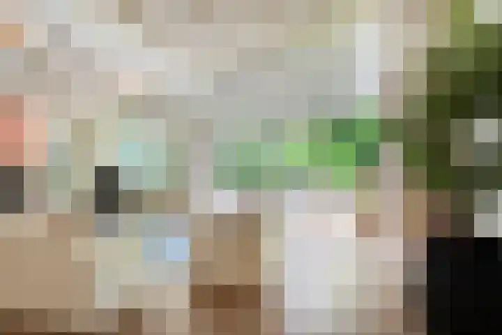 Wolfhezerweg 120 76 Wolfheze thumbnail 9