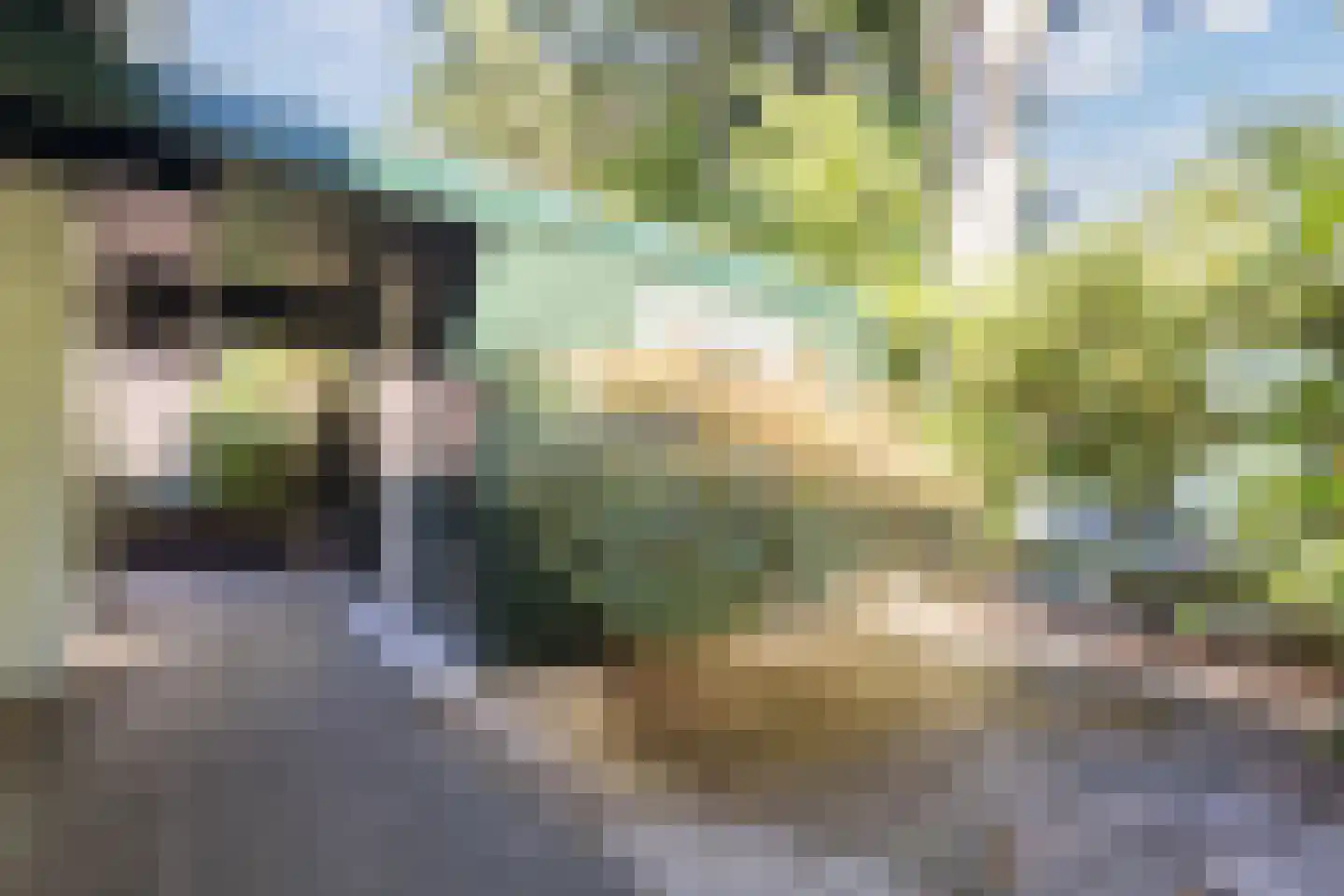Wolfhezerweg 120 81 Wolfheze thumbnail 11