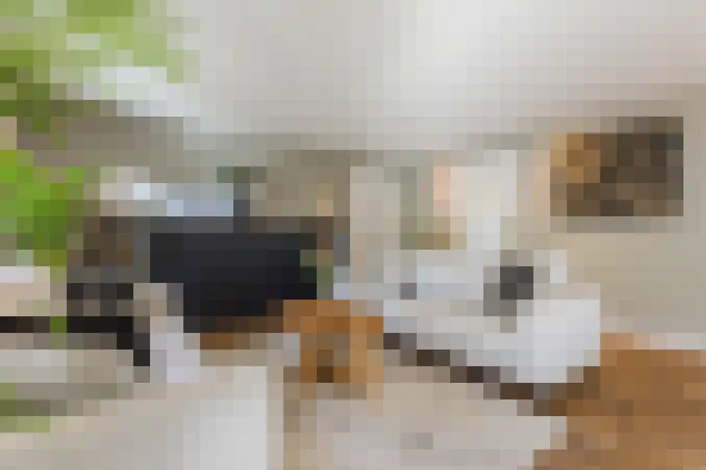 Wolfhezerweg 120 81 Wolfheze thumbnail 20
