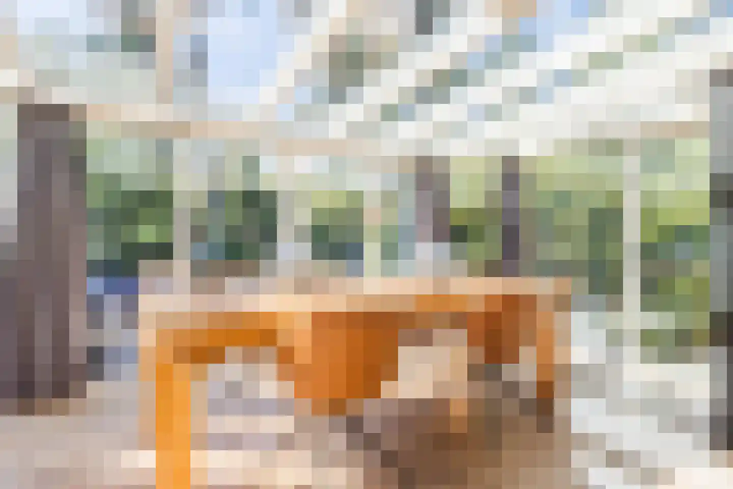 Wolfhezerweg 120 81 Wolfheze thumbnail 21