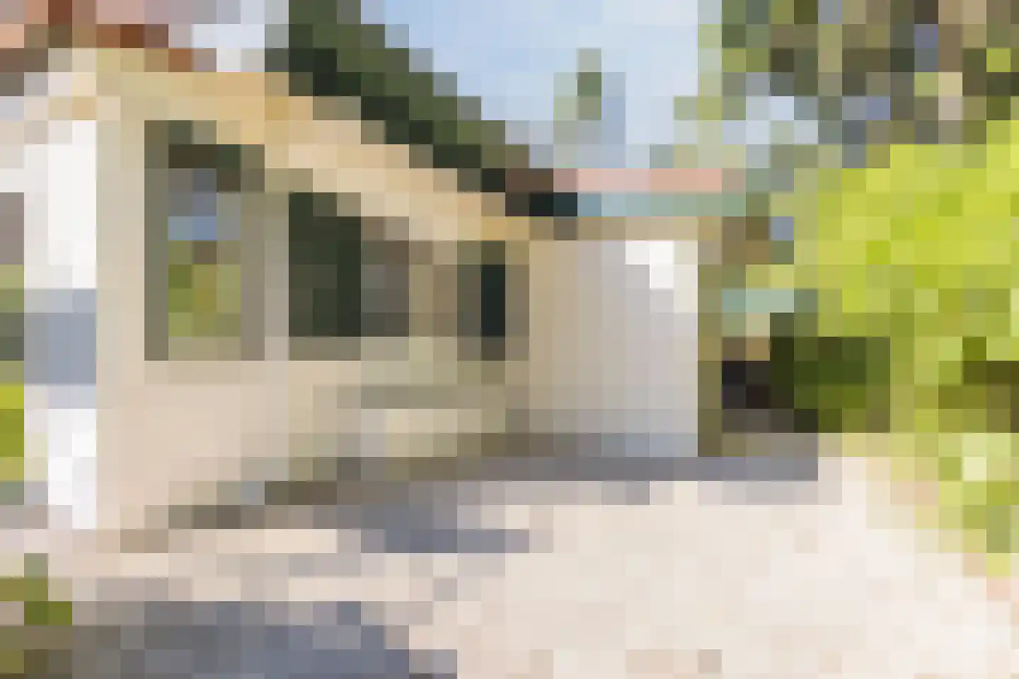 Wolfhezerweg 120 81 Wolfheze thumbnail 31