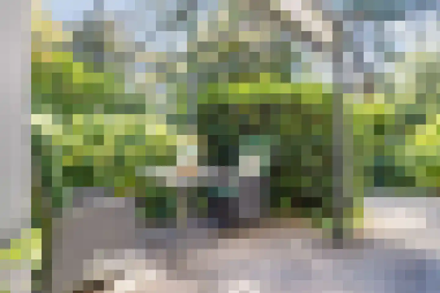 Wolfhezerweg 120 81 Wolfheze thumbnail 32