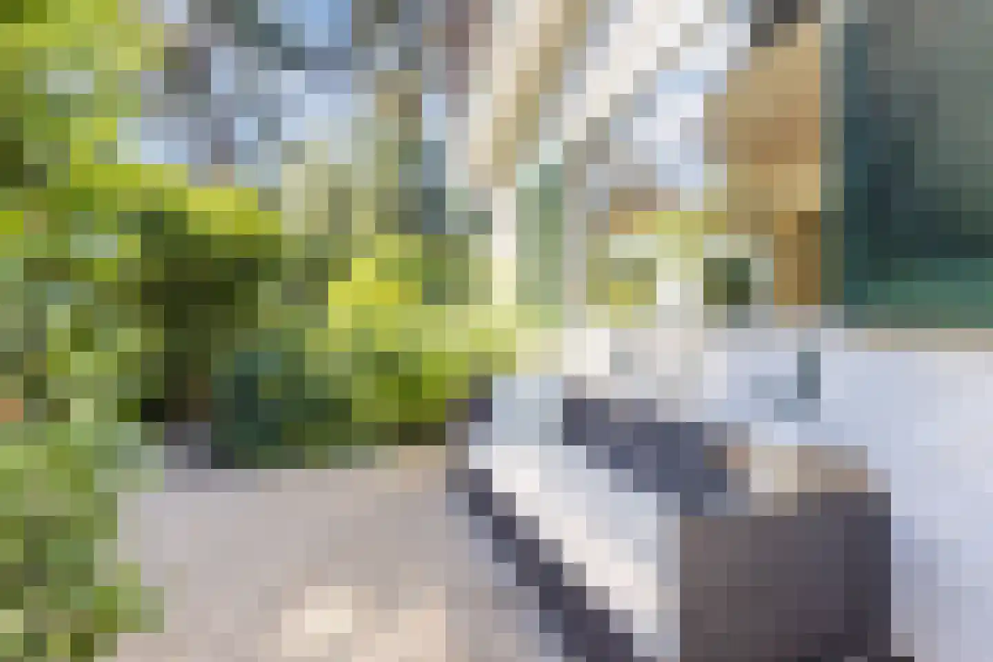 Wolfhezerweg 120 81 Wolfheze thumbnail 33
