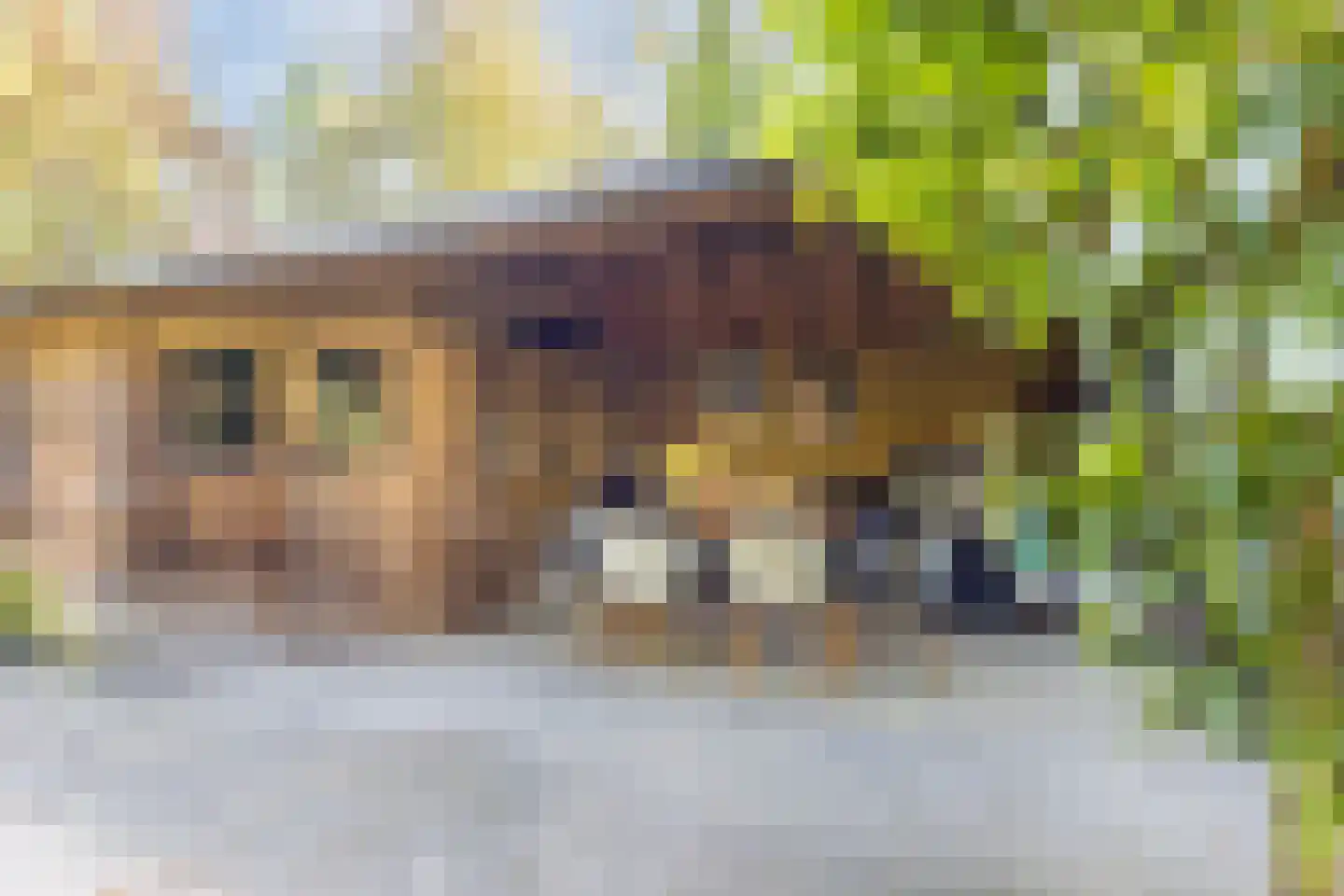 Wolfhezerweg 120 81 Wolfheze thumbnail 34
