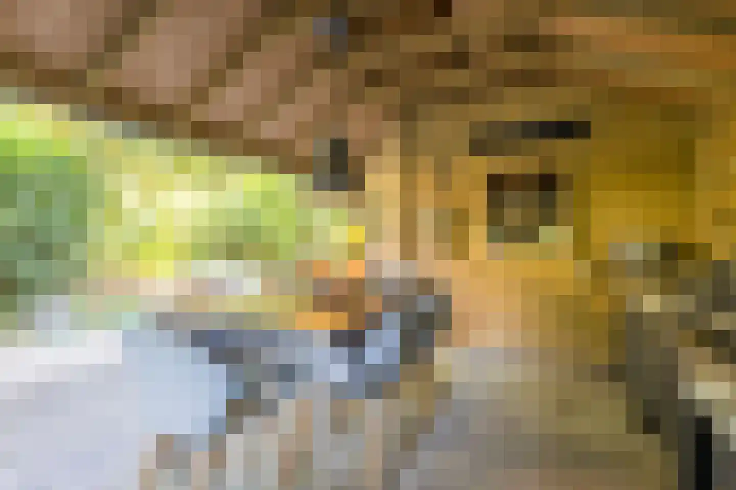 Wolfhezerweg 120 81 Wolfheze thumbnail 35