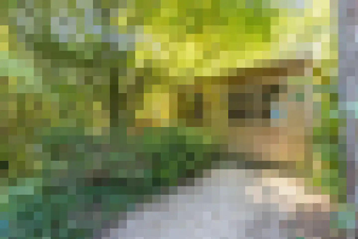 Wolfhezerweg 120 81 Wolfheze thumbnail 36
