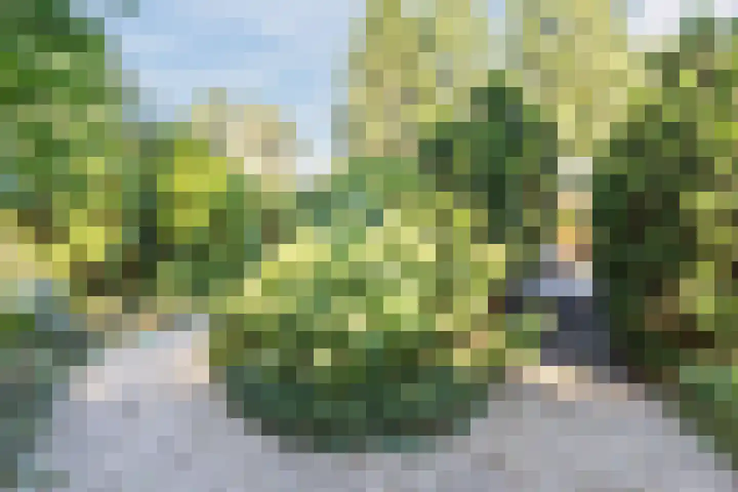 Wolfhezerweg 120 81 Wolfheze thumbnail 37