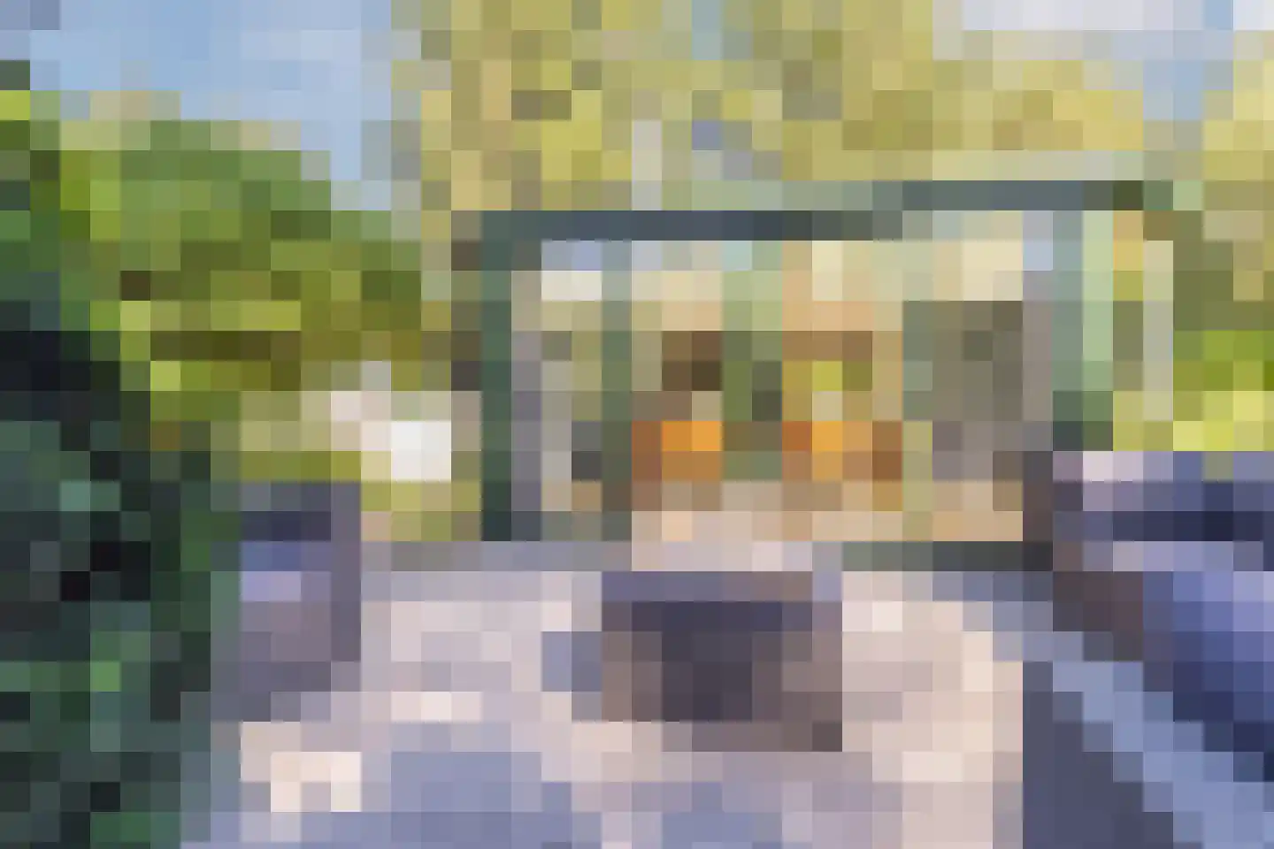 Wolfhezerweg 120 81 Wolfheze thumbnail 39