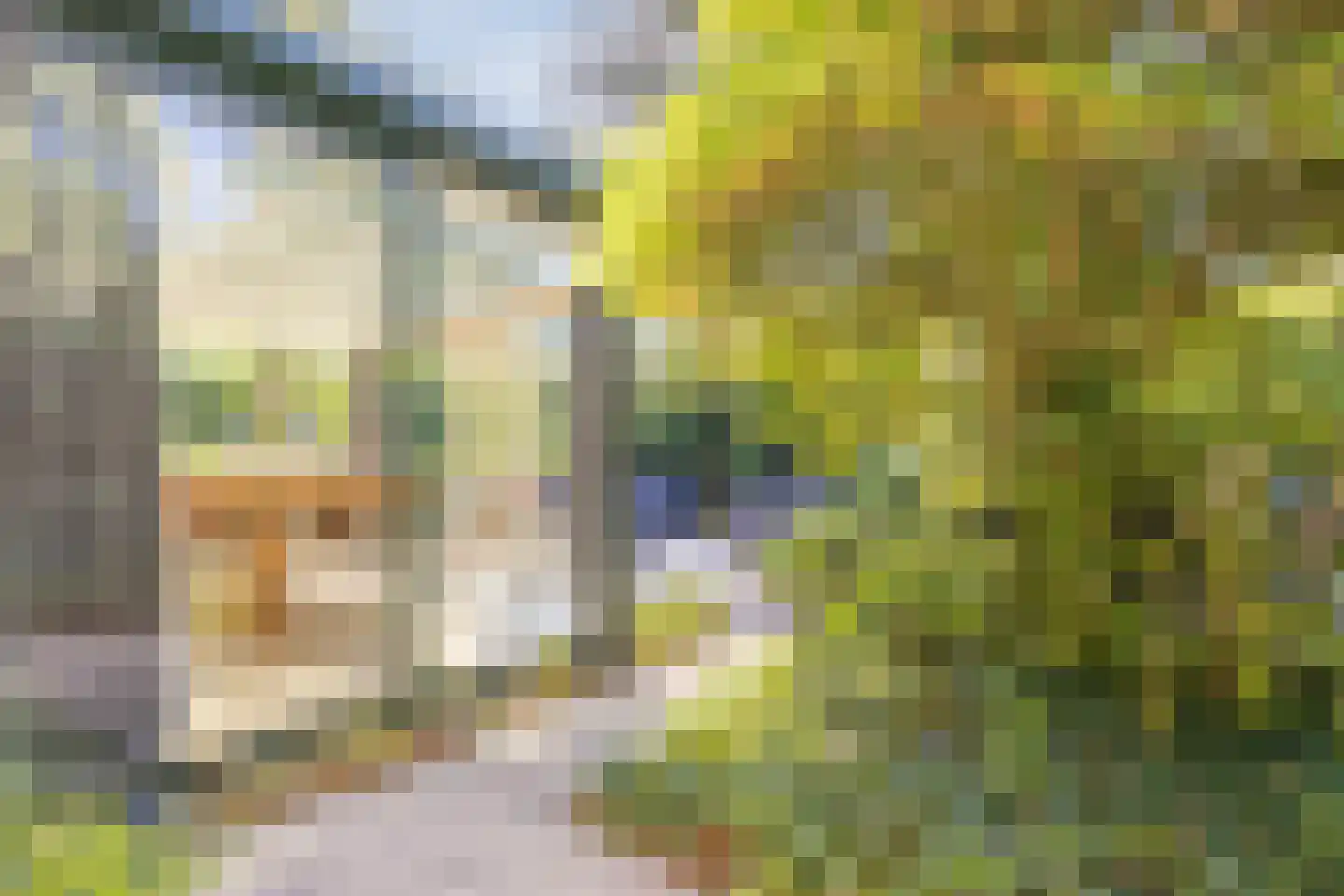 Wolfhezerweg 120 81 Wolfheze thumbnail 40