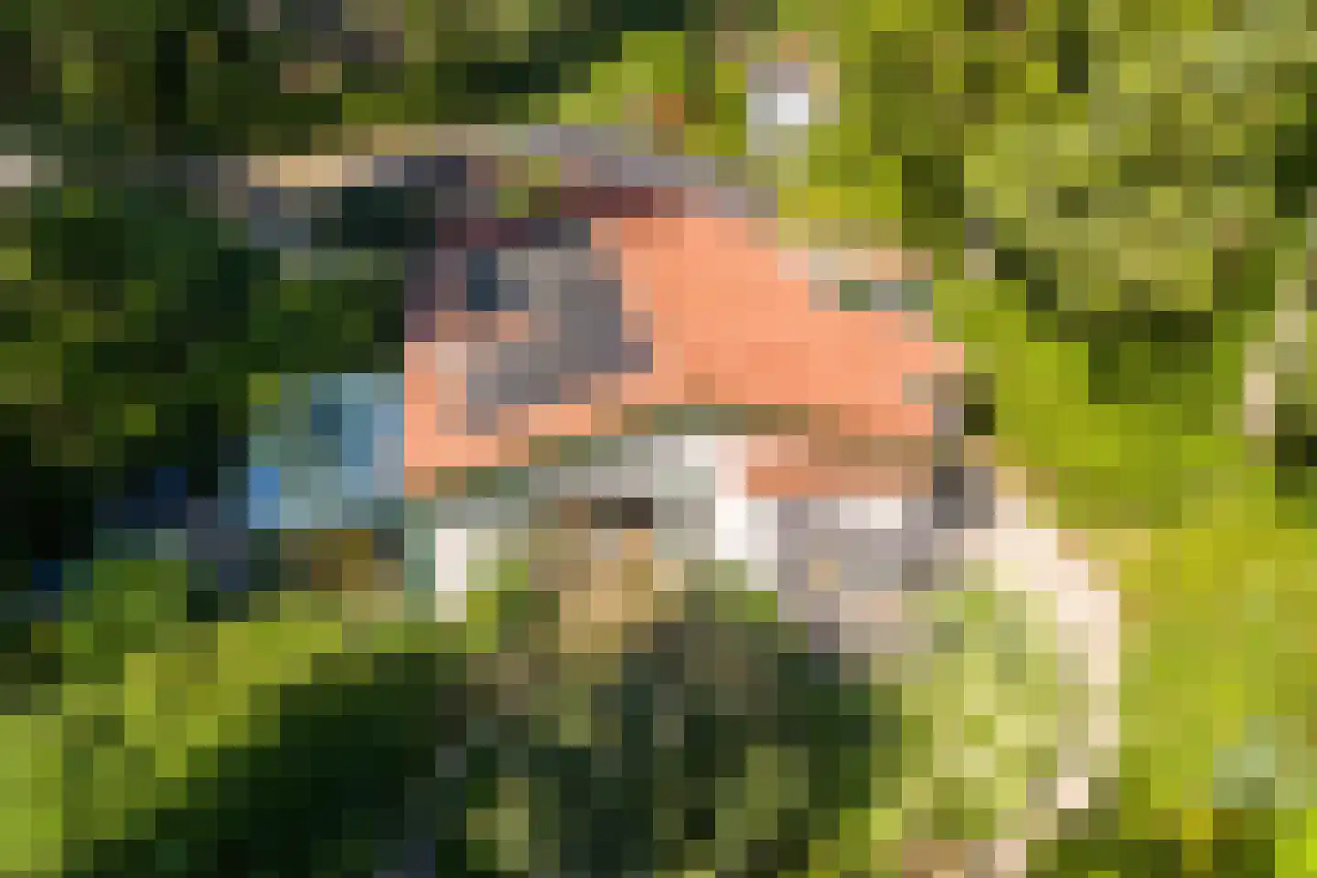 Wolfhezerweg 120 81 Wolfheze thumbnail 41