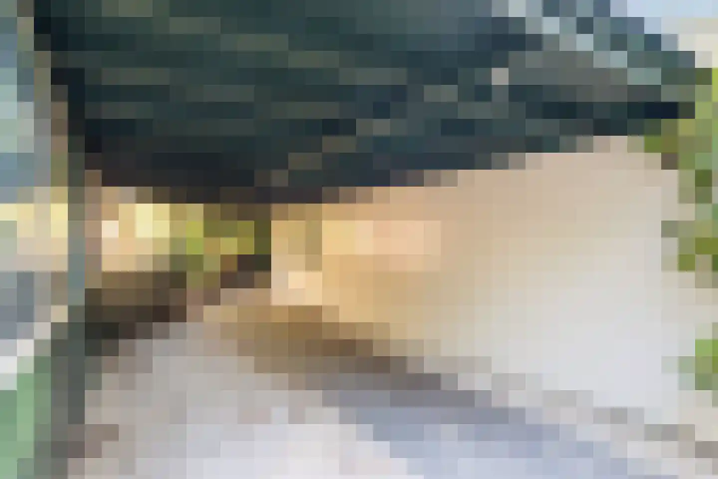 Wolfhezerweg 120 81 Wolfheze thumbnail 7