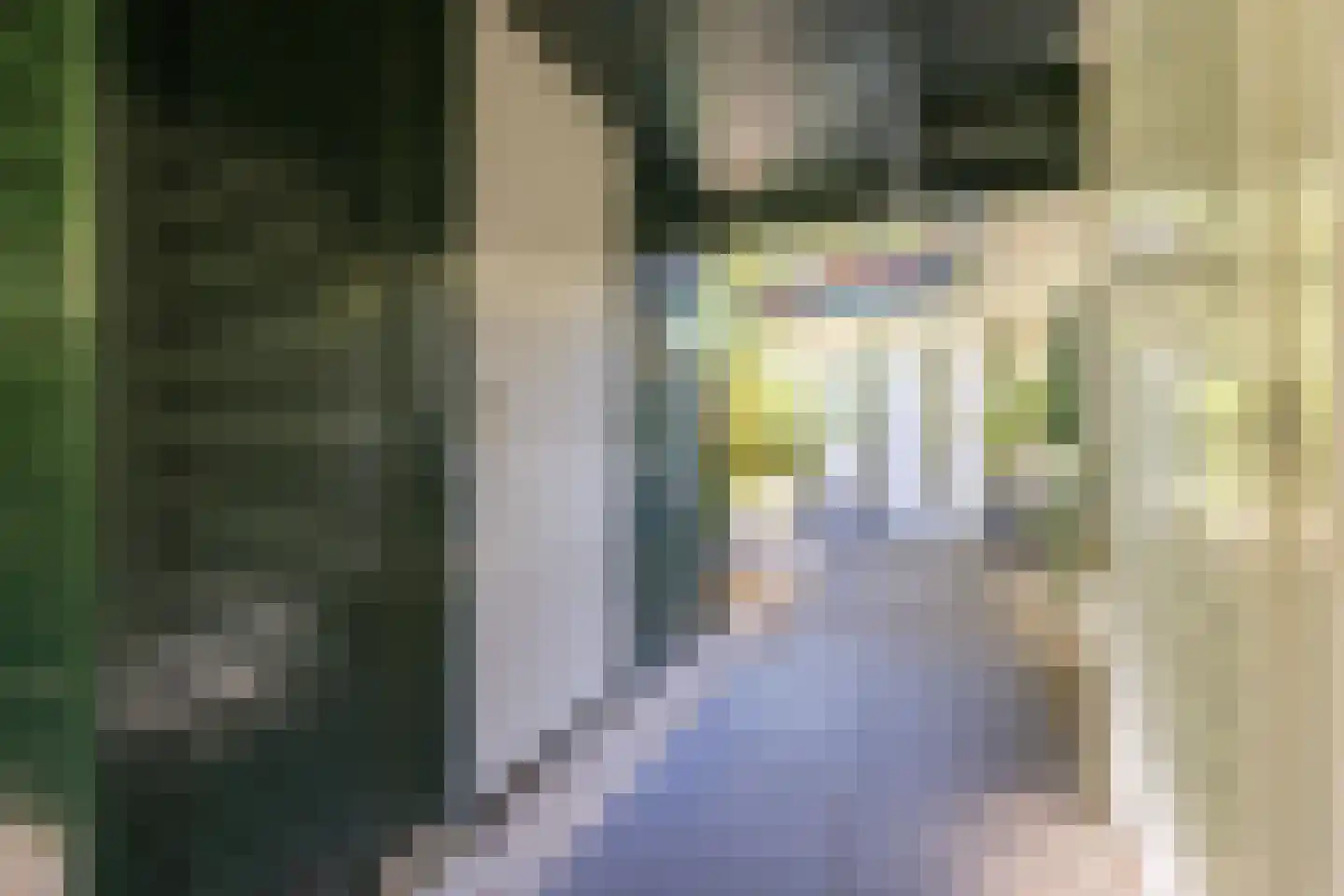 Wolfhezerweg 120 81 Wolfheze thumbnail 9
