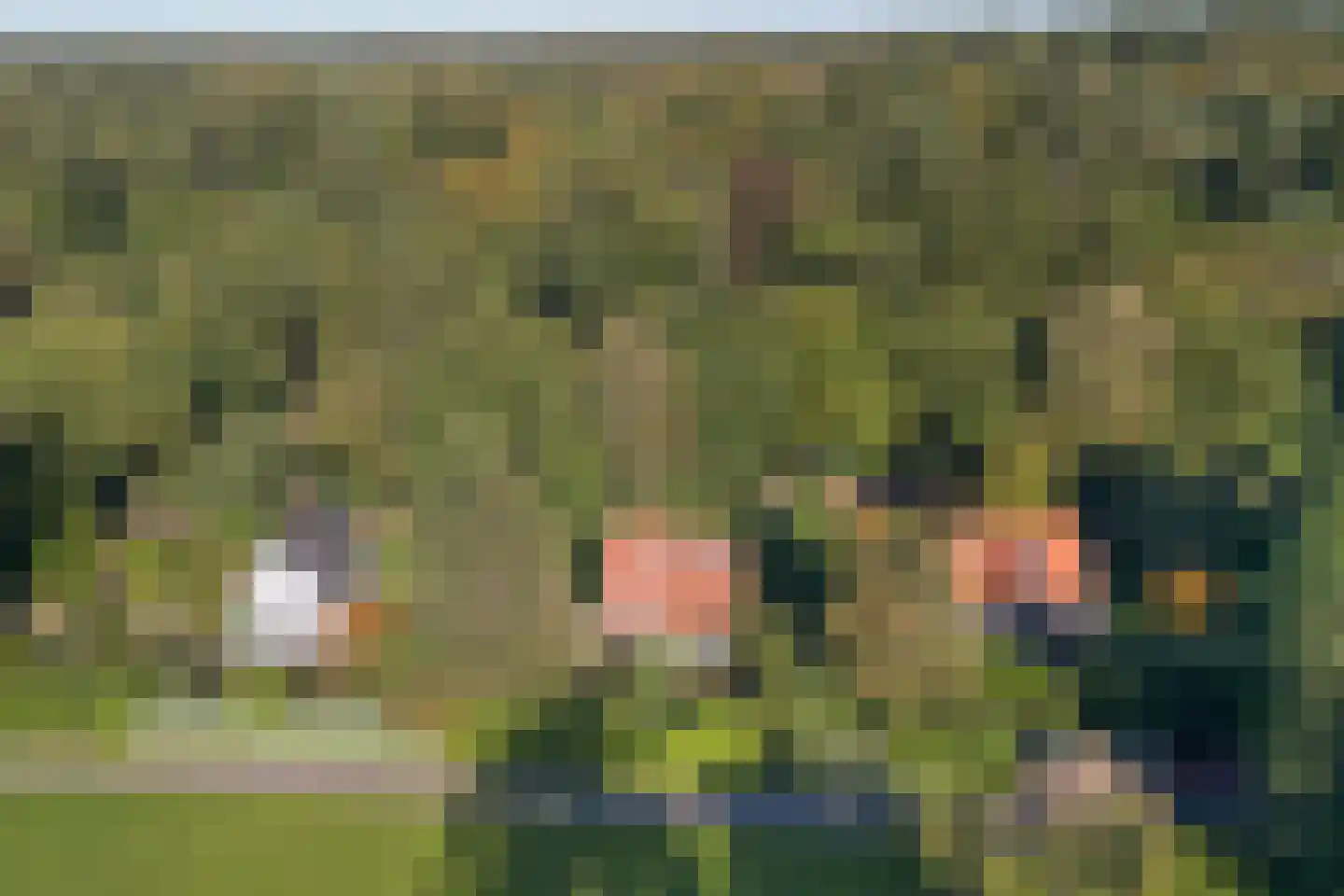 Wolfhezerweg 14 Oosterbeek thumbnail 11