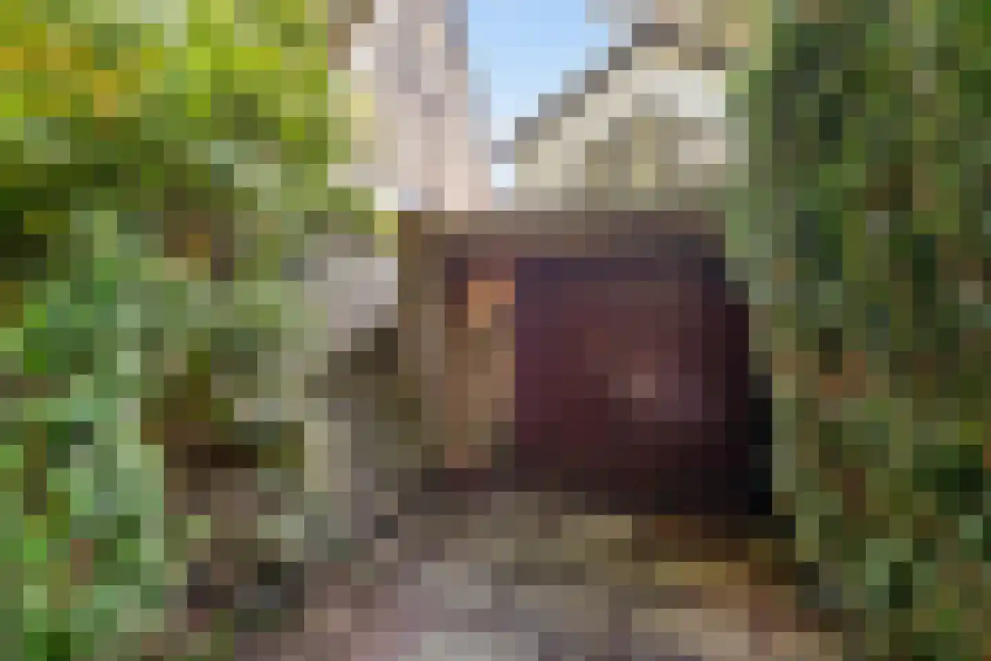 Wolfhezerweg 14 Oosterbeek thumbnail 12