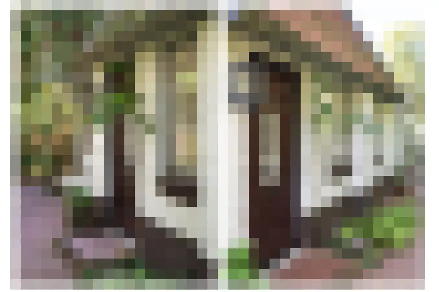 Wolfhezerweg 14 Oosterbeek thumbnail 14