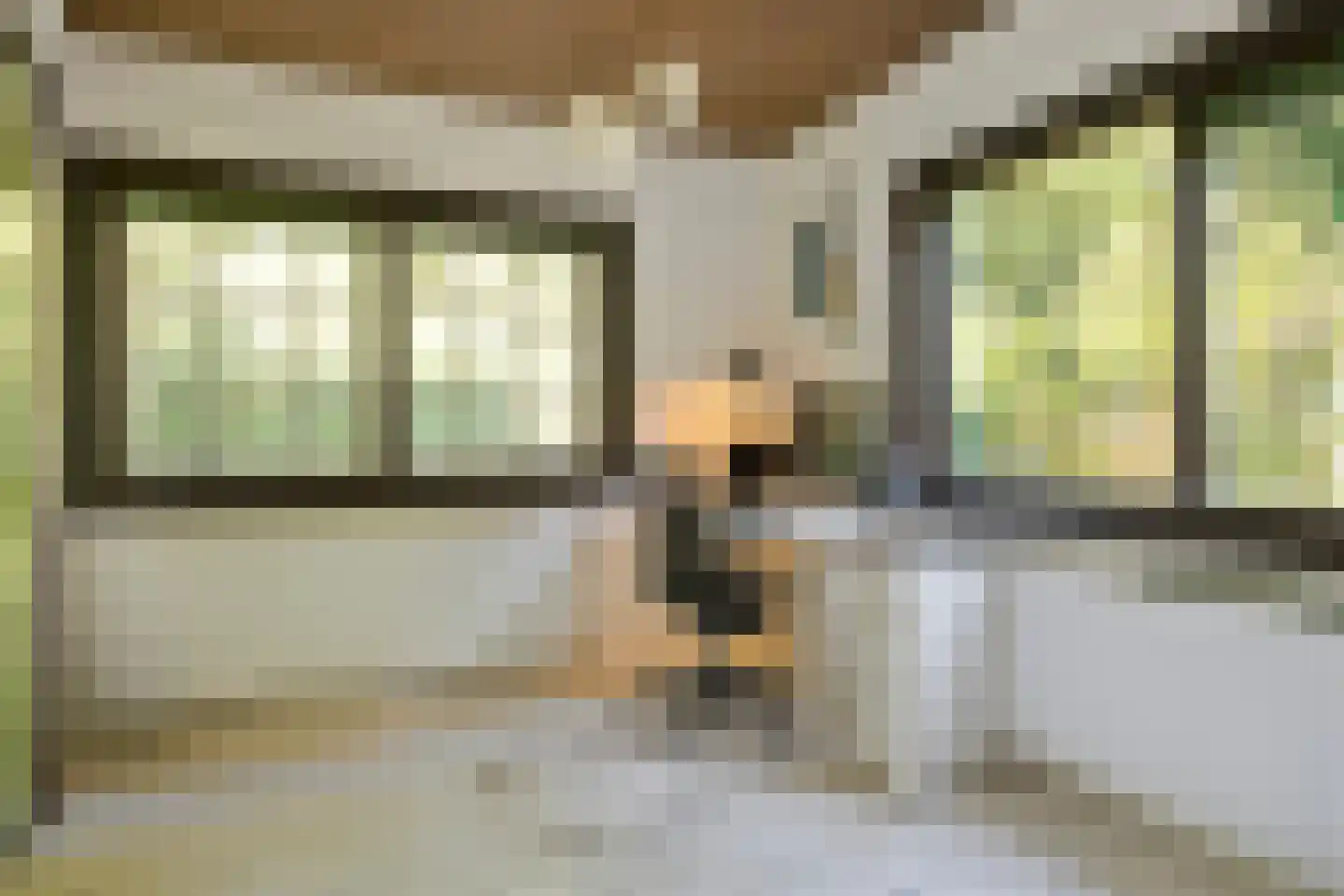 Wolfhezerweg 14 Oosterbeek thumbnail 17