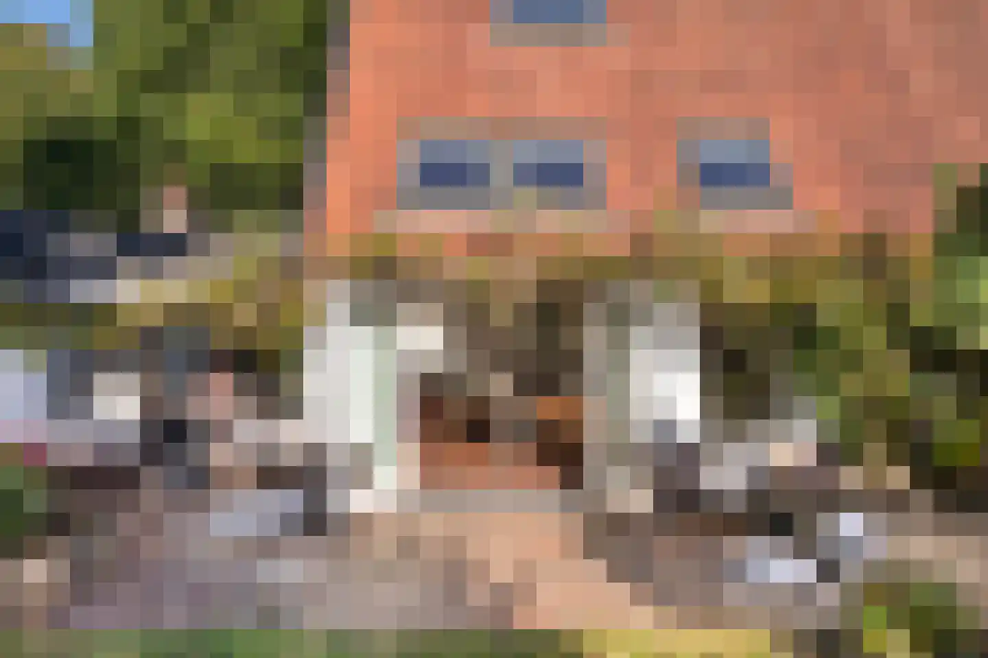 Wolfhezerweg 14 Oosterbeek thumbnail 48