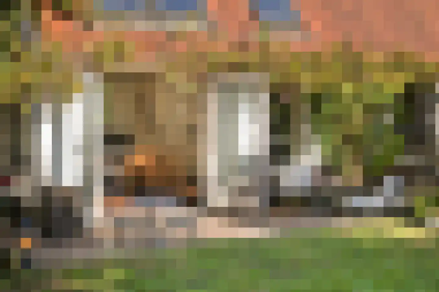Wolfhezerweg 14 Oosterbeek thumbnail 49