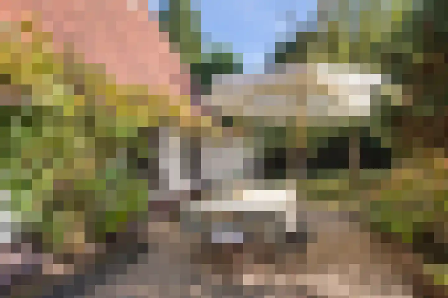 Wolfhezerweg 14 Oosterbeek thumbnail 50