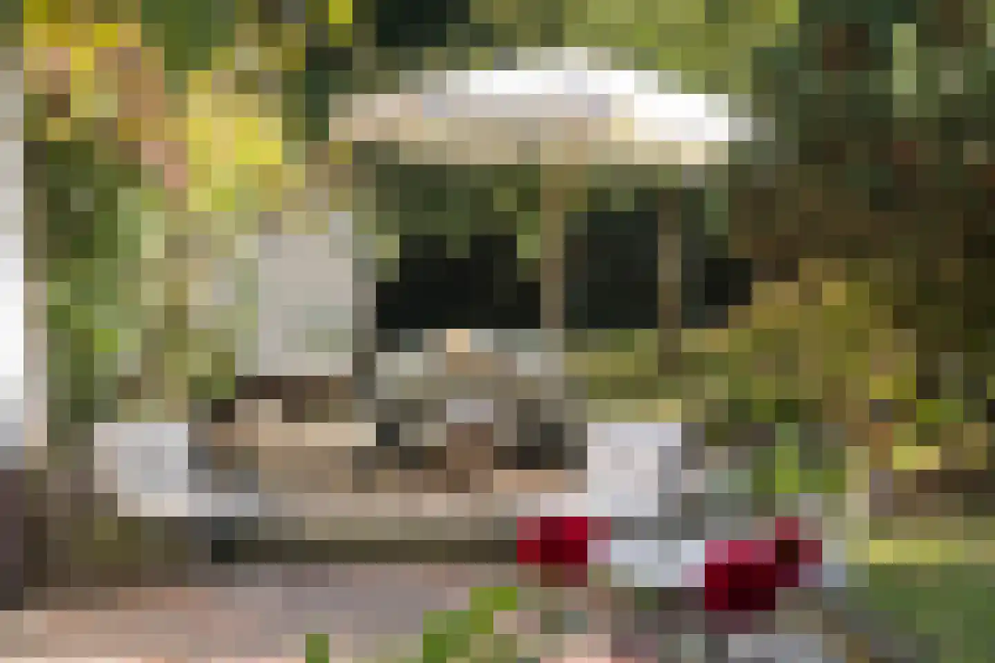 Wolfhezerweg 14 Oosterbeek thumbnail 51