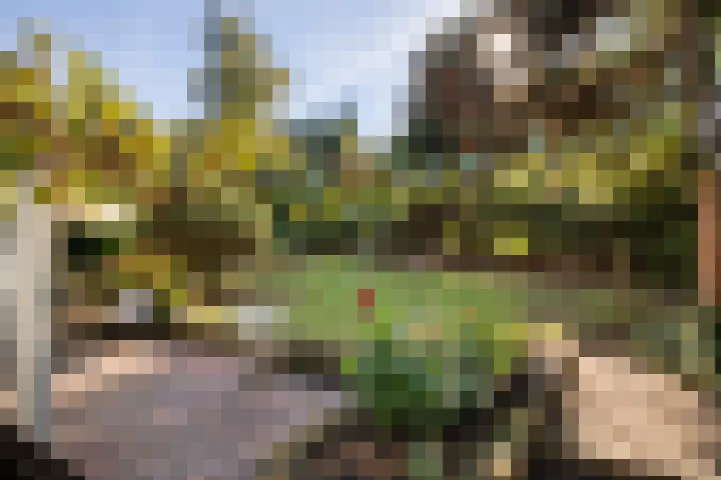 Wolfhezerweg 14 Oosterbeek thumbnail 52
