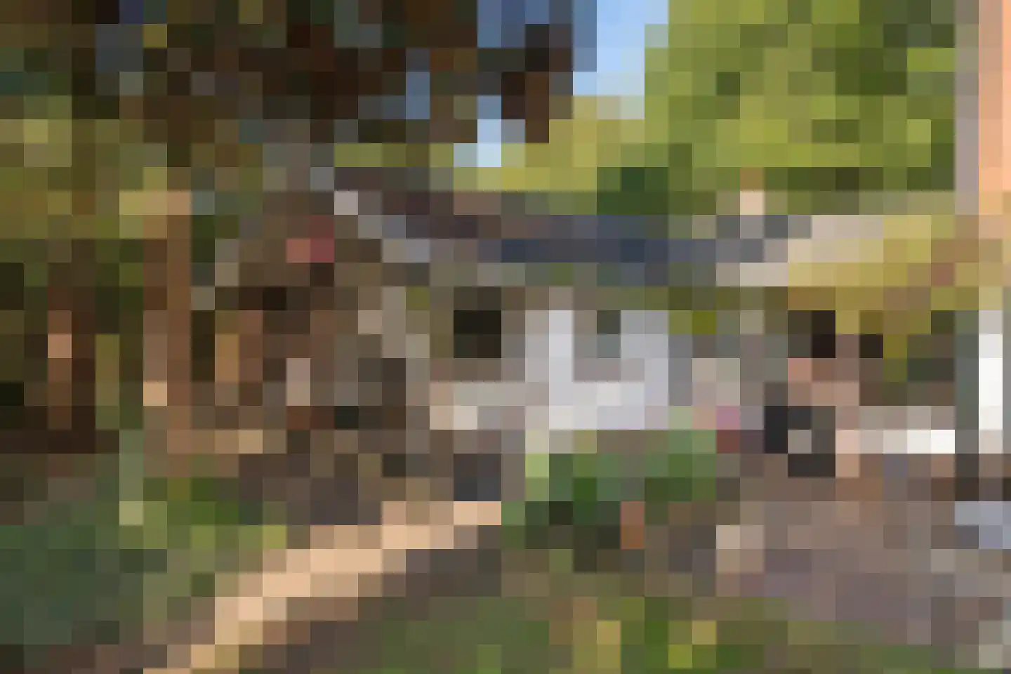 Wolfhezerweg 14 Oosterbeek thumbnail 53