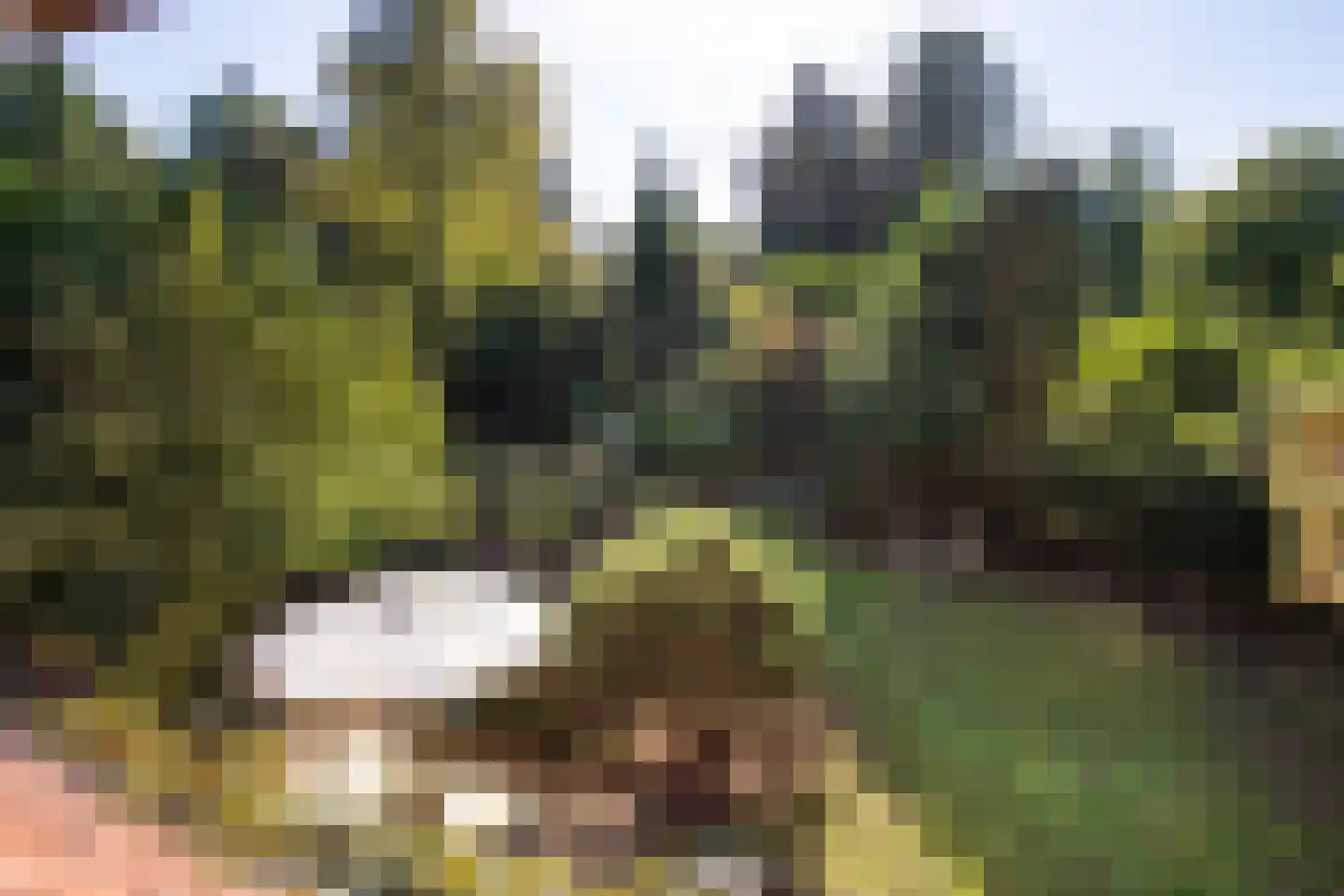 Wolfhezerweg 14 Oosterbeek thumbnail 55