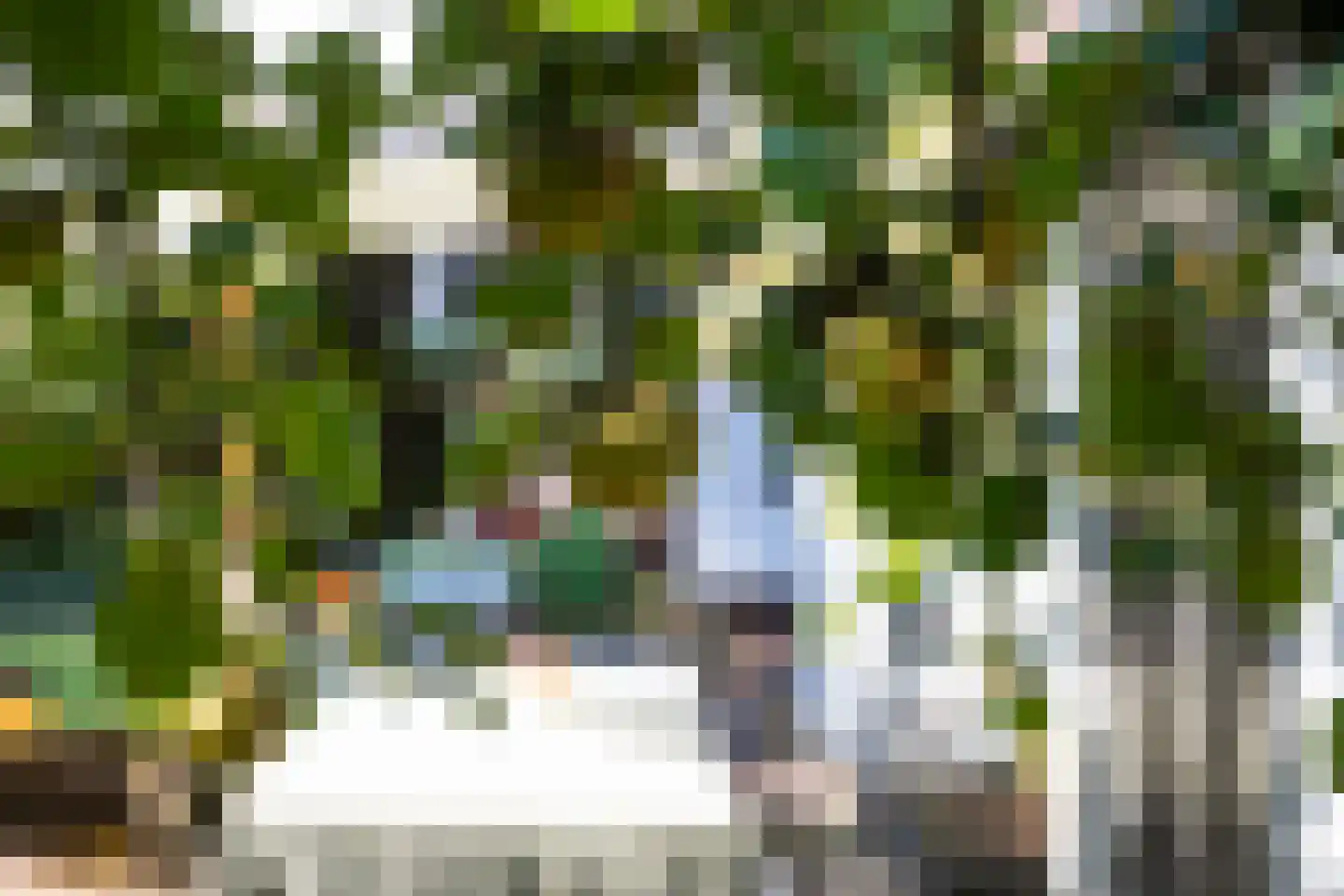 Wolfhezerweg 14 Oosterbeek thumbnail 57