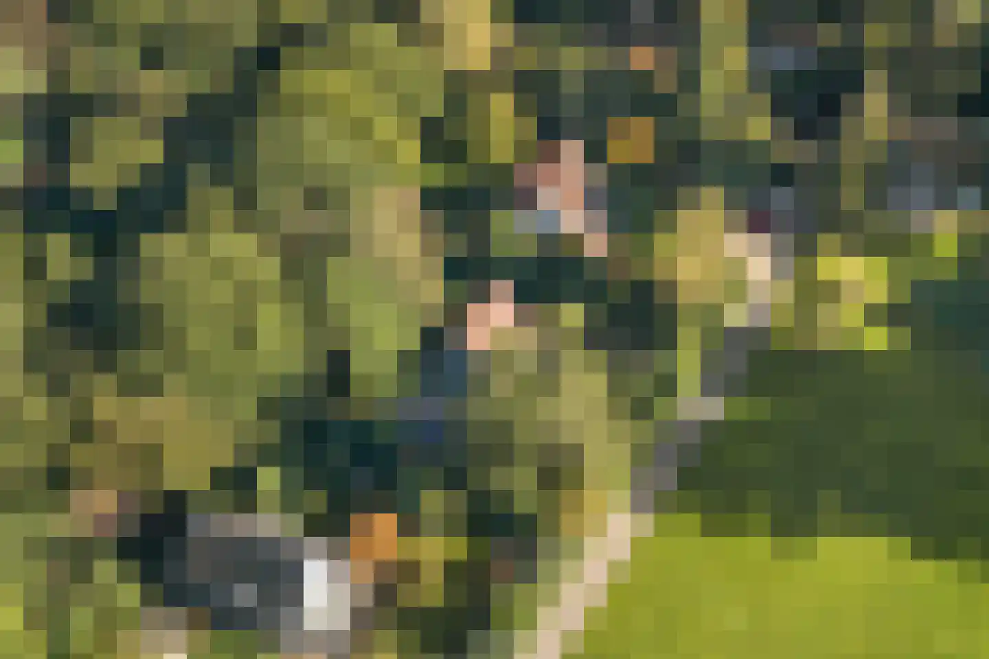 Wolfhezerweg 14 Oosterbeek thumbnail 60