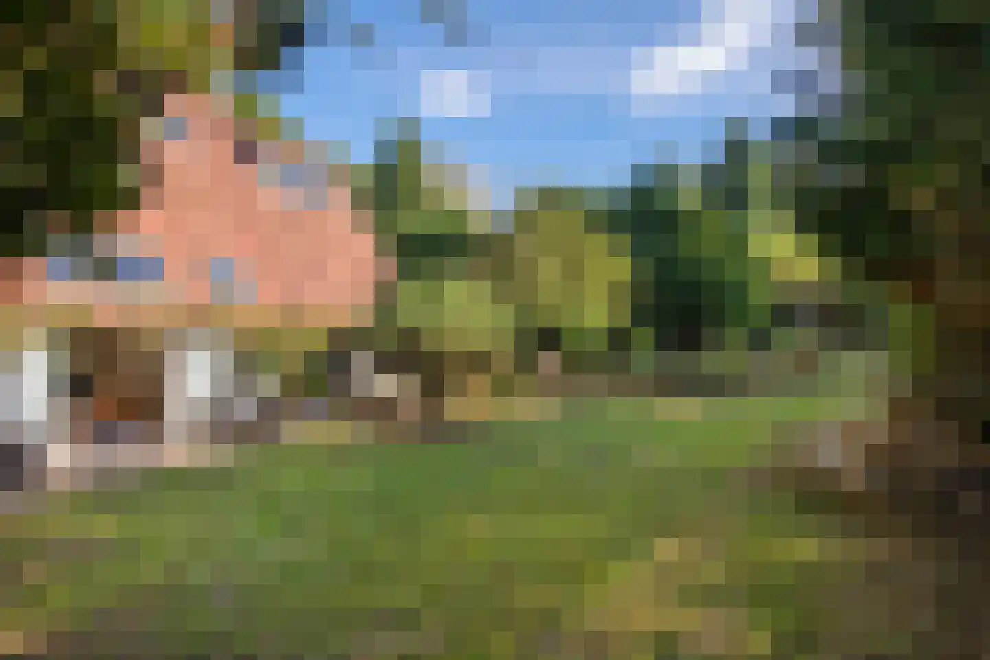 Wolfhezerweg 14 Oosterbeek thumbnail 8