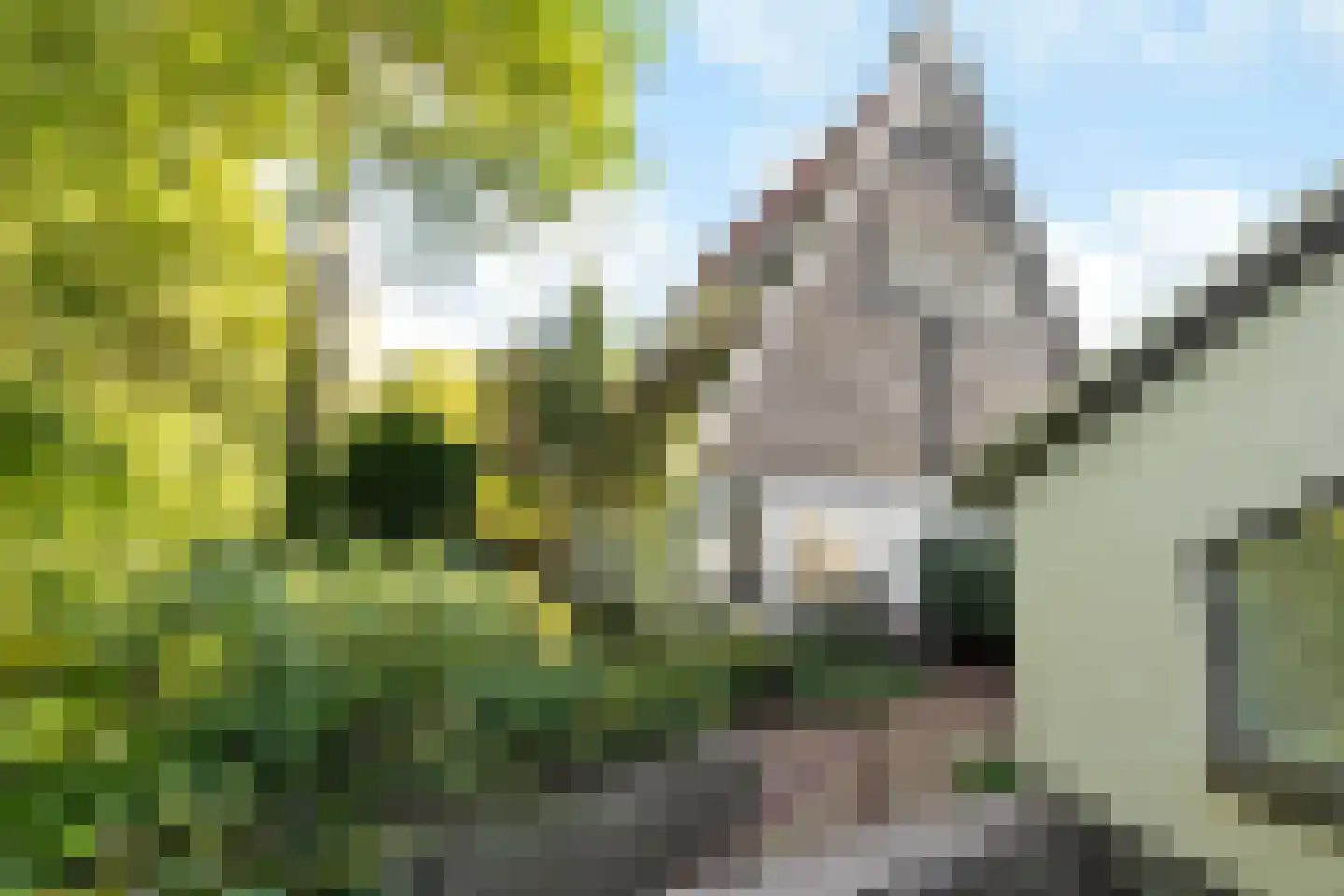 Wolfhezerweg 14 Oosterbeek thumbnail 9